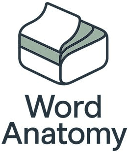 Word Anatomy